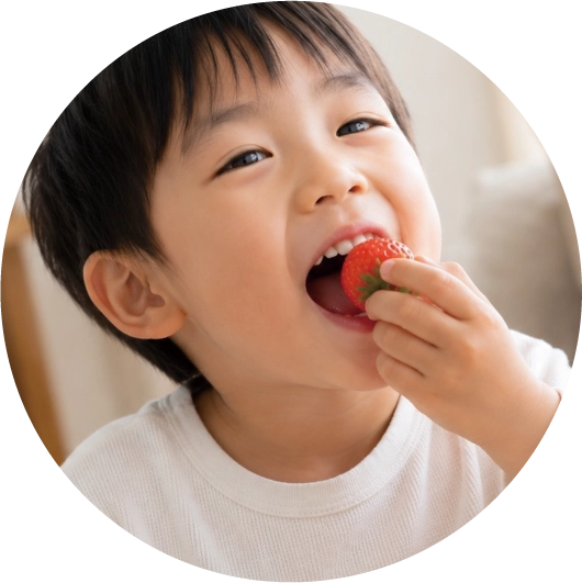 ミラクルフルーツを笑顔で食べる日本の男の子